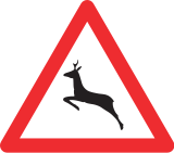 Wild animals crossing