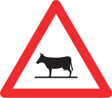 Animals on road (e.g. cattle)