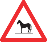 Animals on road (e.g. horses)