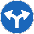 Must turn right or left